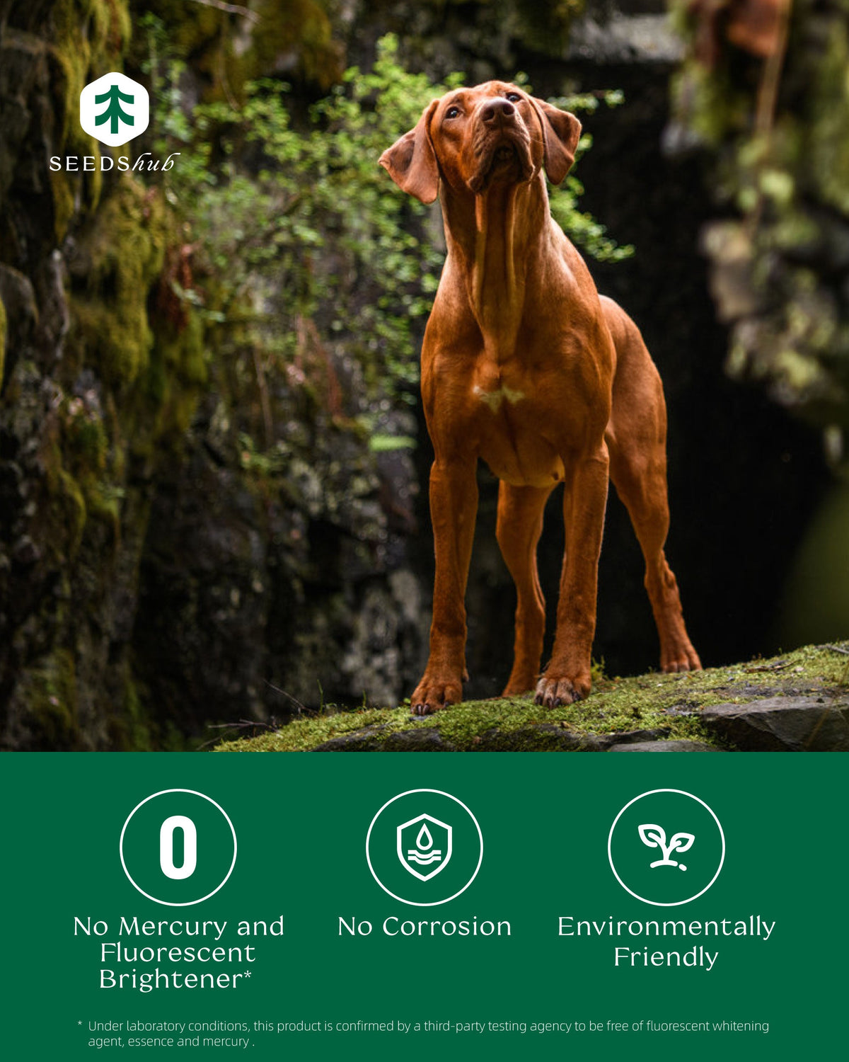 Seedshub Pet Hair Dissolver 6 Sachets Seedshub